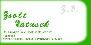 zsolt matusek business card